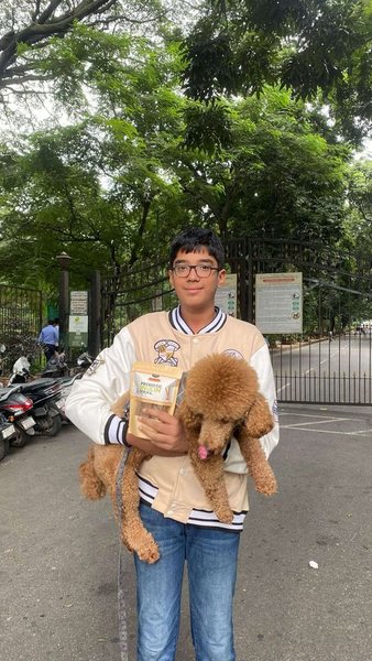 A boy holding an apricot Toy Poodle and a pack of prebiotic sticks